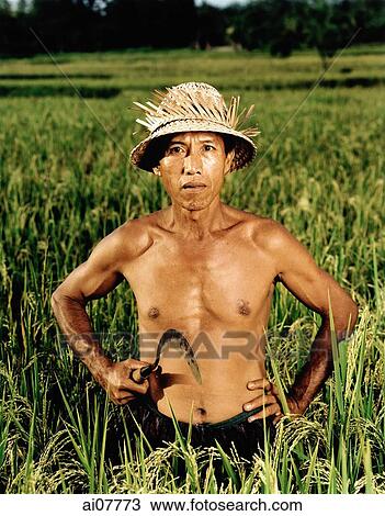 Indonesia, Bali, Candi Dasa, Balinese rice farmer in rice field. View Large Photo Image Stock Image - Indonesia, Bali, Candi Dasa, Balinese rice farmer in rice field.. Fotosearch