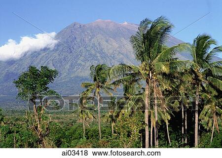 Indonesia, Bali, Mount Agung with palm trees in foreground. View Large Photo Image Stock Photo - Indonesia, Bali, Mount Agung with palm trees in foreground.. Fotosearch