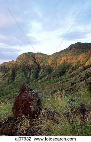 Indonesia, Bali, Pemutaran, View across West Bali National Park. (grainy) View Large Photo Image Stock Image - Indonesia, Bali, Pemutaran, View across West Bali National Park. (grainy). Fotosearch