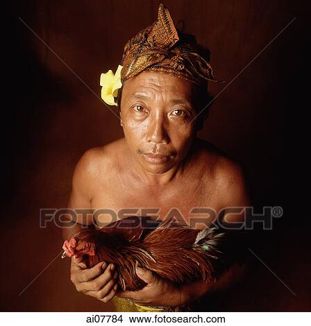 Indonesia, Bali, Ubud, Balinese man holding fighting cock, view from above. View Large Photo Image Picture - Indonesia, Bali, Ubud, Balinese man holding fighting cock, view from above.. Fotosearch