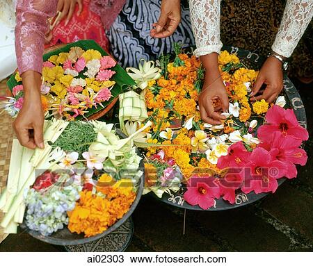 Indonesia, Bali, women in traditional costume arranging assorted flowers on plates View Large Photo Image Stock Image - Indonesia, Bali, women in traditional costume arranging assorted flowers on plates. Fotosearch