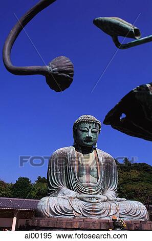 Japan, Kamakura, Kotoku-in Temple, Daibutsu, Buddha statue made during Emperor Shi-jo era View Large Photo Image Stock Photography - Japan, Kamakura, Kotoku-in Temple, Daibutsu, Buddha statue made during Emperor Shi-jo era. Fotosearch