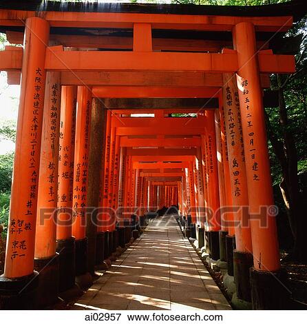 Japan, Kyoto, Fushimi Inari Shrine, Torii gates View Large Photo Image Stock Photo - Japan, Kyoto, Fushimi Inari Shrine, Torii gates. Fotosearch