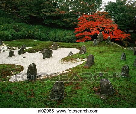 Japan, Kyoto, Komyo-in, sand and stone garden with maple View Large Photo Image Stock Photography - Japan, Kyoto, Komyo-in, sand and stone garden with maple. Fotosearch
