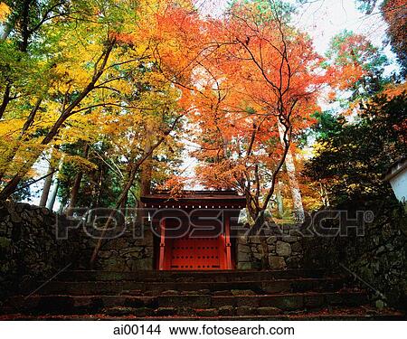 Japan, Ohara, Sanzen-in, Red gate and maple trees View Large Photo Image Picture - Japan, Ohara, Sanzen-in, Red gate and maple trees. Fotosearch
