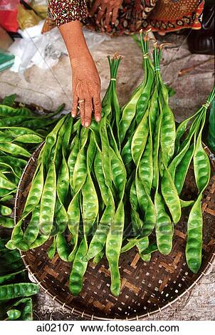 Malaysia, Kuala Terengganu, a pungent green bean called petai used in curries. View Large Photo Image Stock Photo - Malaysia, Kuala Terengganu, a pungent green bean called petai used in curries.. Fotosearch