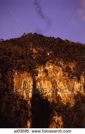 Stock Photography - Malaysia, Mulu National Park, sunset at great cave. Fotosearch