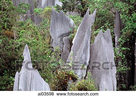 Stock Photo - Malaysia, Sarawak, Mulu National Park, The Pinnacles. Fotosearch