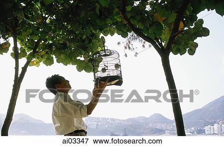 Stock Photo - Man hanging birdcage on tree. Fotosearch