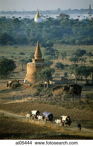 Myanmar (Burma), Bagan, Villagers in ox drawn carts along dirt roads with temples in backgrounds. View Large Photo Image Picture - Myanmar (Burma), Bagan, Villagers in ox drawn carts along dirt roads with temples in backgrounds.. Fotosearch