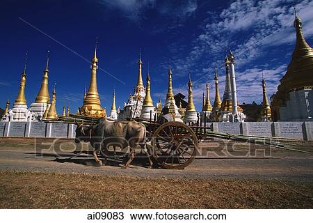 Myanmar (Burma), Near Kalaw, Ox-cart passing in front of Min Mahti Pagoda. View Large Photo Image Stock Image - Myanmar (Burma), Near Kalaw, Ox-cart passing in front of Min Mahti Pagoda.. Fotosearch