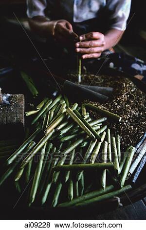 Myanmar (Burma), Nyaungshwe, Inle lake, Hand rolling cheroots at cheroot factory. View Large Photo Image Stock Photo - Myanmar (Burma), Nyaungshwe, Inle lake, Hand rolling cheroots at cheroot factory.. Fotosearch