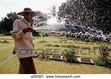 Myanmar (Burma), Yangon (Rangoon), A caretaker watering the Rangoon War cemetery, one of five World War II burial grounds in Myanmar. View Large Photo Image Stock Image - Myanmar (Burma), Yangon (Rangoon), A caretaker watering the Rangoon War cemetery, one of five World War II burial grounds in Myanmar.. Fotosearch