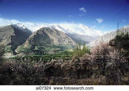Picture - Pakistan, Northern Areas, Hunza Valley, Rakaposhi Peak.. Fotosearch
