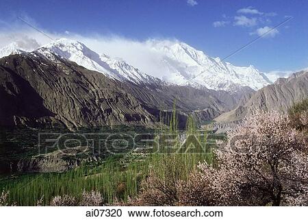 Stock Image - Pakistan, Northern Areas, Hunza Valley, Rakaposhi Peak in the day.. Fotosearch