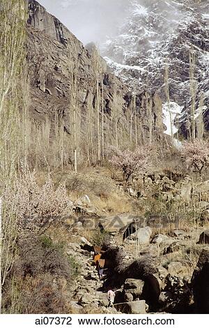 Stock Image - Pakistan, Northern Areas, Hunza Valley, Trail near Haiderabad Village.. Fotosearch