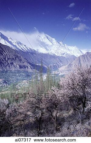 Stock Photo - Pakistan, Northern Areas, Hunza Valley, Rakaposhi Peak.. Fotosearch