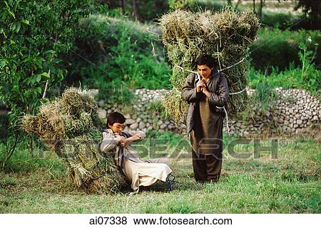 Pakistan, Northern Areas, Hunza Valley, Karimabad, Boys carrying animal fodder. View Large Photo Image Stock Photo - Pakistan, Northern Areas, Hunza Valley, Karimabad, Boys carrying animal fodder.. Fotosearch