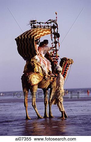 Pakistan, Sind, Karachi, Clifton Beach, Family taking camel ride on beach. View Large Photo Image Stock Photography - Pakistan, Sind, Karachi, Clifton Beach, Family taking camel ride on beach.. Fotosearch