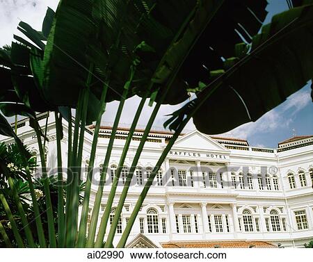 Singapore, Raffles Hotel View Large Photo Image Stock Image - Singapore, Raffles Hotel. Fotosearch