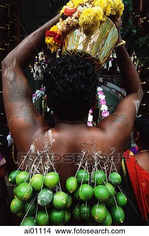 Singapore, Thaipusam Festival, Hindu Devotee with body piercings. View Large Photo Image Picture - Singapore, Thaipusam Festival, Hindu Devotee with body piercings.. Fotosearch