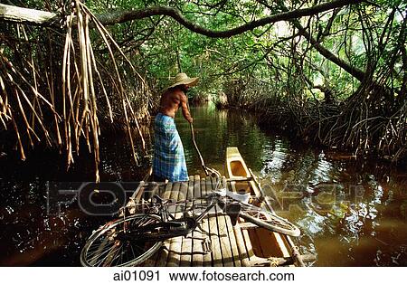 Stock Image - Sri Lanka, Bentota, man on local boat travelling through mangroves. Fotosearch