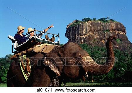 Sri Lanka, Sigiriya, Elephant carrying tourist during safari View Large Photo Image Stock Image - Sri Lanka, Sigiriya, Elephant carrying tourist during safari. Fotosearch