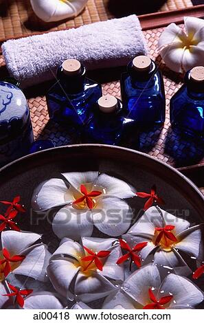 Still life with bowl, floating fresh flowers and blue glass bottles View Large Photo Image Stock Photo - Still life with bowl, floating fresh flowers and blue glass bottles. Fotosearch