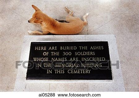 Thailand, Chung-Kai, A dog sitting by a stone marking the resting place of the ashes of 300 soldiers. View Large Photo Image Stock Photo - Thailand, Chung-Kai, A dog sitting by a stone marking the resting place of the ashes of 300 soldiers.. Fotosearch