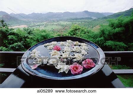 Stock Photo - Thailand, Kanchanaburi, Flowers floating in a bowl of water as a peace memorial at the Hellfire Pass Museum.. Fotosearch