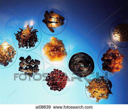 Various ingredients of Chinese medicine, like herbs, dried roots, fruits, animal parts View Large Photo Image Stock Photo - Various ingredients of Chinese medicine, like herbs, dried roots, fruits, animal parts. Fotosearch