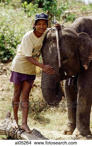 Vietnam, Ban Dong, Central Highlands, man with elephant View Large Photo Image Picture - Vietnam, Ban Dong, Central Highlands, man with elephant. Fotosearch