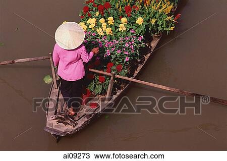 Vietnam, Can Tho, Hau river, Flower seller steering boat, floating market. View Large Photo Image Stock Image - Vietnam, Can Tho, Hau river, Flower seller steering boat, floating market.. Fotosearch