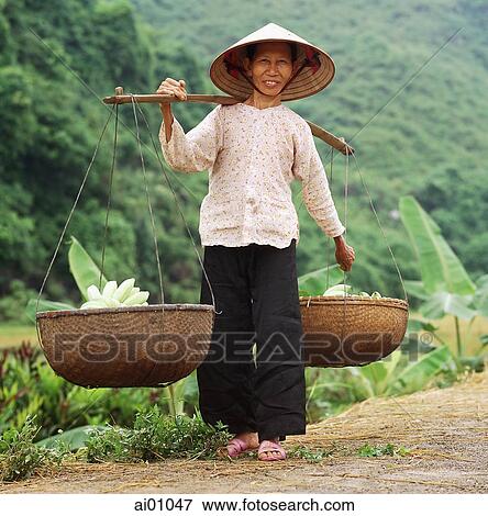 Vietnam, Halong Bay, Cat Ba Island, old woman carrying baskets of bananas View Large Photo Image Stock Photo - Vietnam, Halong Bay, Cat Ba Island, old woman carrying baskets of bananas. Fotosearch