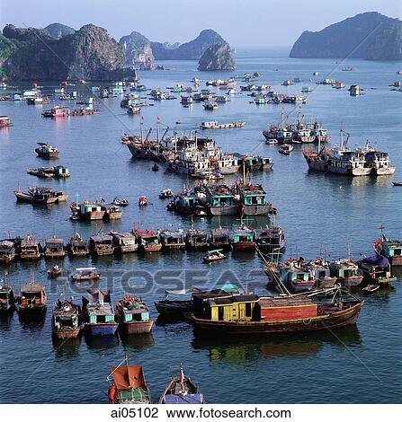 Vietnam, Halong Bay, fishing boats in bay View Large Photo Image Stock Image - Vietnam, Halong Bay, fishing boats in bay. Fotosearch