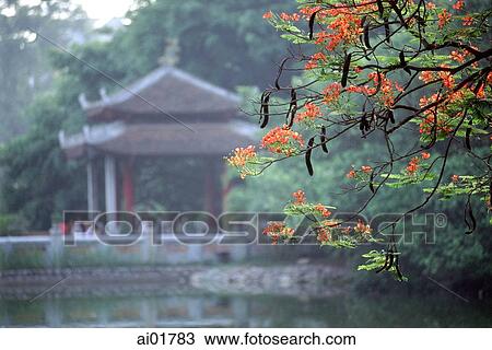Vietnam, Hanoi, Hgoc Son Temple in Hoan Kiem Lake. View Large Photo Image Stock Image - Vietnam, Hanoi, Hgoc Son Temple in Hoan Kiem Lake.. Fotosearch