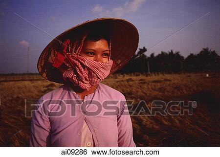 Vietnam, Outside Vinh Long, Mekong delta, Rice farmer at rice harvest/threshing time. View Large Photo Image Stock Photograph - Vietnam, Outside Vinh Long, Mekong delta, Rice farmer at rice harvest/threshing time.. Fotosearch