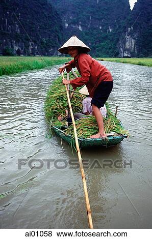 Vietnam, Perfume Pagoda, Ngo Dong River, Hanoi, woman in a boat with rice harvest View Large Photo Image Stock Photo - Vietnam, Perfume Pagoda, Ngo Dong River, Hanoi, woman in a boat with rice harvest. Fotosearch