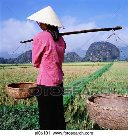 Vietnam, Perfume Pagoda, Woman with baskets standing in rice paddy View Large Photo Image Stock Image - Vietnam, Perfume Pagoda, Woman with baskets standing in rice paddy. Fotosearch