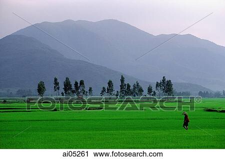 Stock Image - Vietnam, Qui Nho'n, Man walking across field, Troung Son Mountains in background.. Fotosearch