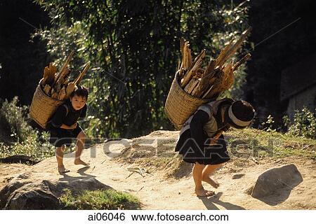 Stock Photograph - Vietnam, Sa Pa, Black Hmong children carrying firewood. Fotosearch