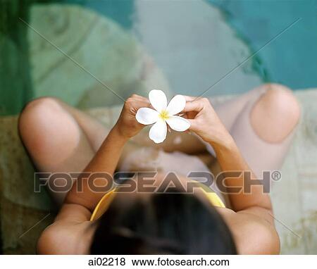Woman sitting in swimming pool, holding flower, overhead view View Large Photo Image Stock Photo - Woman sitting in swimming pool, holding flower, overhead view. Fotosearch