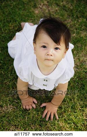 Baby girl crawling on grass, looking up, portrait View Large Photo Image Stock Photo - Baby girl crawling on grass, looking up, portrait. Fotosearch