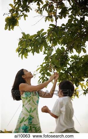 Mother and son outdoors, mother pulling a branch from tree View Large Photo Image Stock Image - Mother and son outdoors, mother pulling a branch from tree. Fotosearch