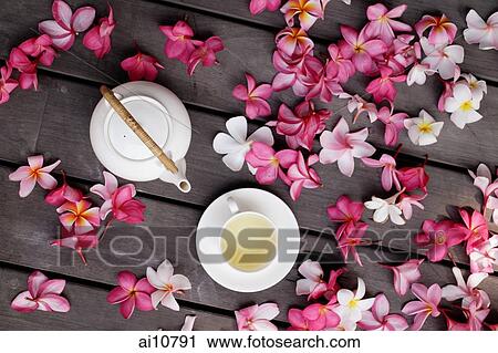 Stock Image - Still life surrounded by flowers. Fotosearch