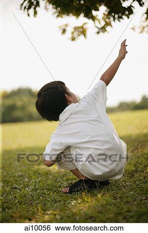 Young boy crouching on lawn, pointing up View Large Photo Image Stock Photograph - Young boy crouching on lawn, pointing up. Fotosearch