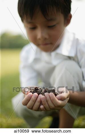 Young boy holding seeds View Large Photo Image Stock Photo - Young boy holding seeds. Fotosearch