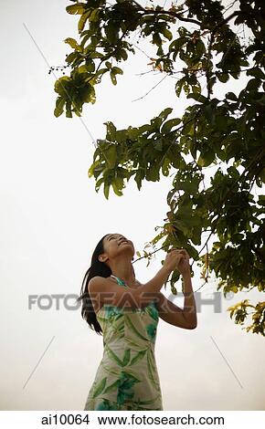 Young woman touching a tree branch View Large Photo Image Picture - Young woman touching a tree branch. Fotosearch
