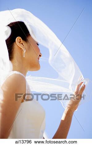 Bride touching veil View Large Photo Image Stock Photograph - Bride touching veil. Fotosearch