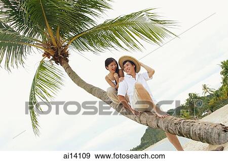 Couple sitting on coconut tree View Large Photo Image Stock Photo - Couple sitting on coconut tree. Fotosearch